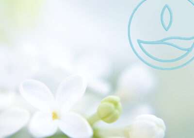 José Celestino Sáenz Castillo